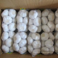 China 500g small packed fresh white garlic for sale New Caledonia